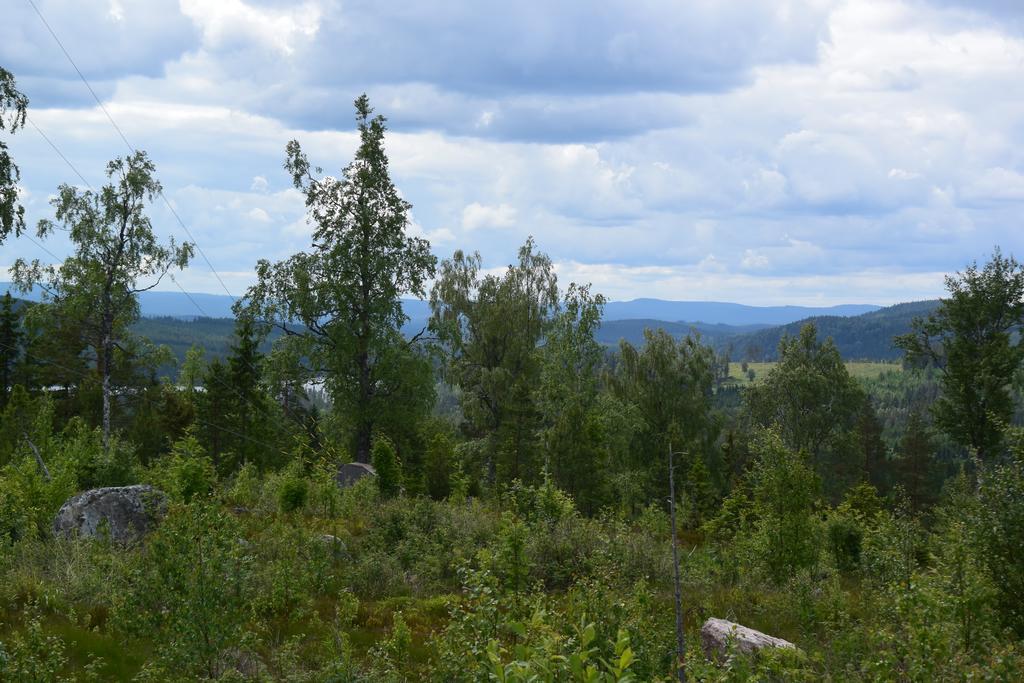 Mieps Huset Dalarna Holiday Kullen  Eksteriør billede
