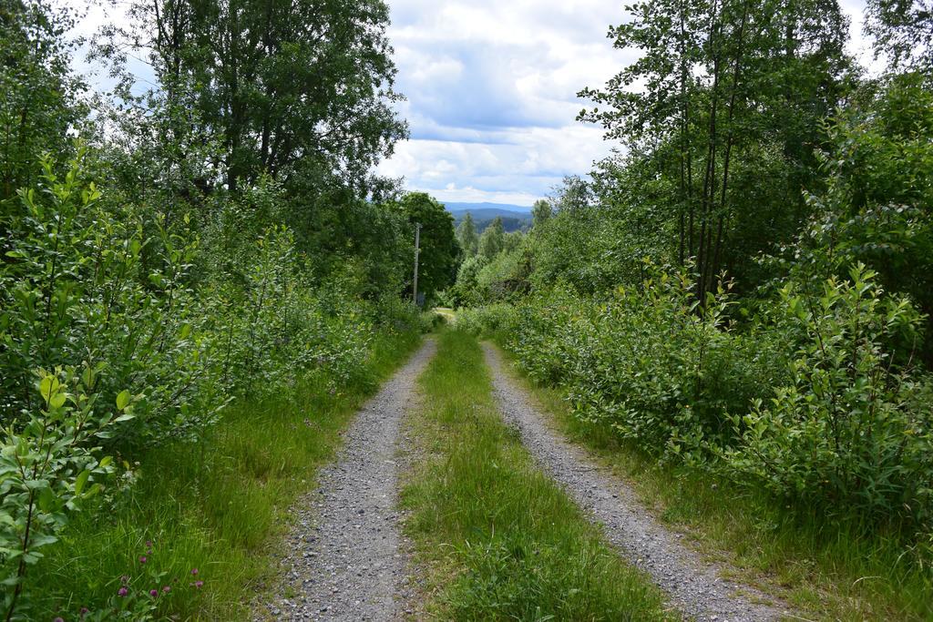 Mieps Huset Dalarna Holiday Kullen  Eksteriør billede